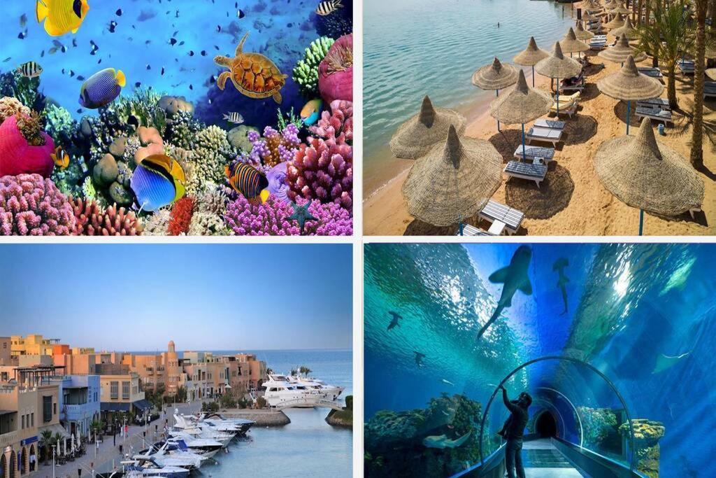 201Sheraton Plaza Hurghada Eksteriør billede