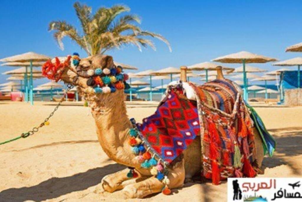 201Sheraton Plaza Hurghada Eksteriør billede